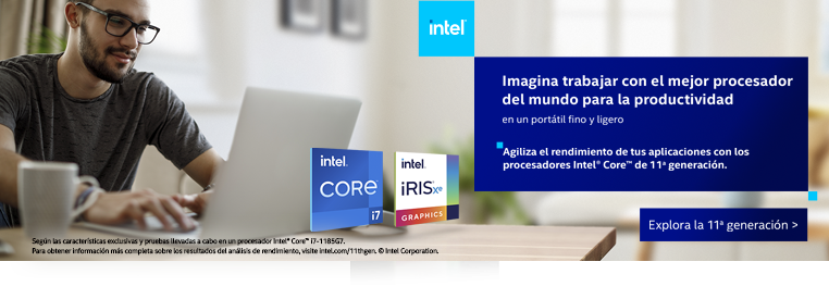 Banner Intel 11th